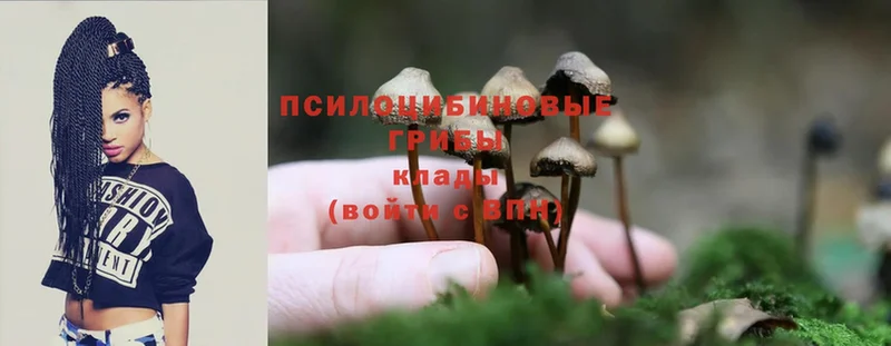 Галлюциногенные грибы MAGIC MUSHROOMS Нягань